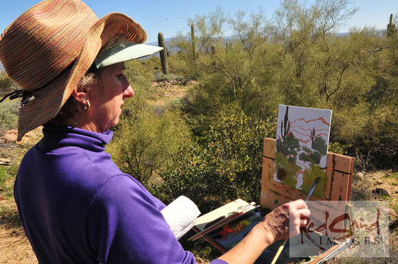 Desert Painter