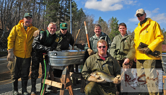 MN DNR Pine River Walleye Stripping Station Crew