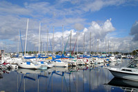 Harbor San Diego